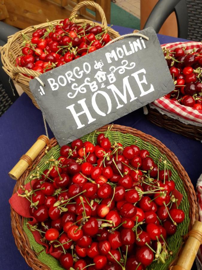 Il Borgo Dei Molini Bed and Breakfast Torreglia Exteriör bild